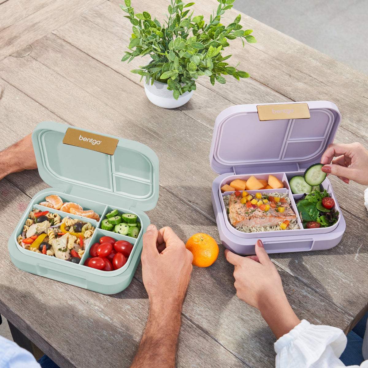 bentgo-modern-lunch-box-2-pack-z5 COSTCOBMCPRODUCTIMAGE_2.jpg